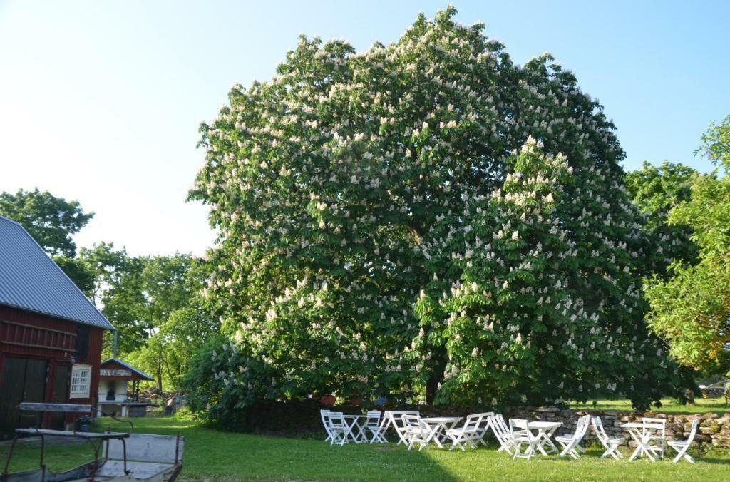 Rosenborgs Friluftspensionat Farjestaden Ngoại thất bức ảnh